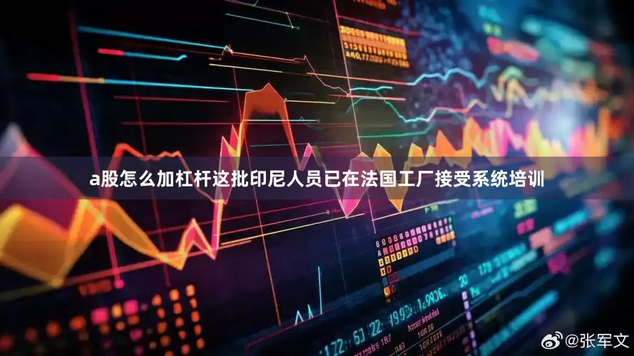 a股怎么加杠杆这批印尼人员已在法国工厂接受系统培训